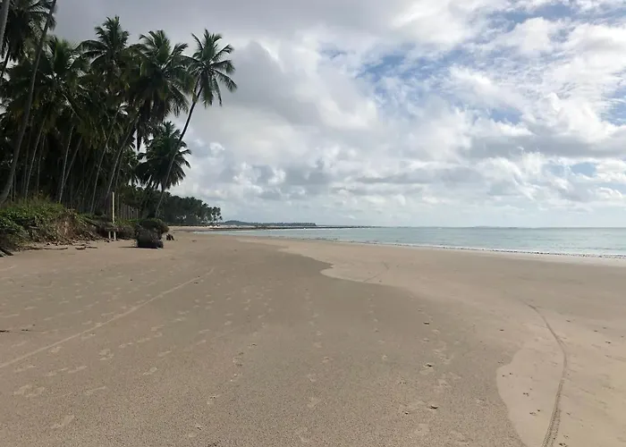 Lindo Apartamento No Melhor Da Praia De Carneiros!