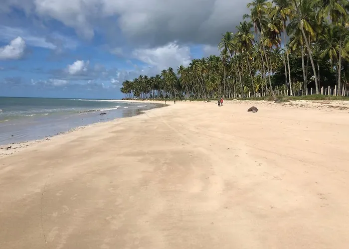 Lindo Apartamento No Melhor Da Praia De Carneiros!
